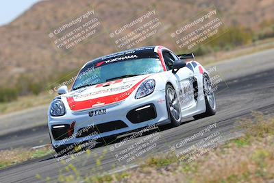 media/May-14-2023-Speed Ventures (Sun) [[8a95a37b3a]]/Green/skid pad/